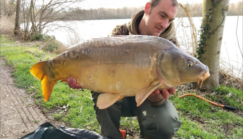 A carp from Brocard Large, Mar 2019