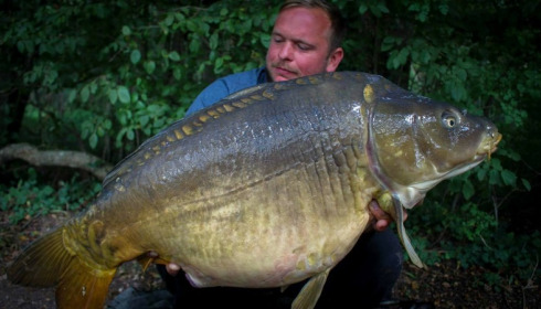 A carp from Brocard Large, Swim 11, Sep 2017