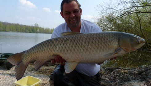 A carp from Brocard Large, Apr 2013