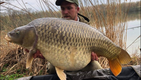 A carp from Brocard Large, Apr 2019