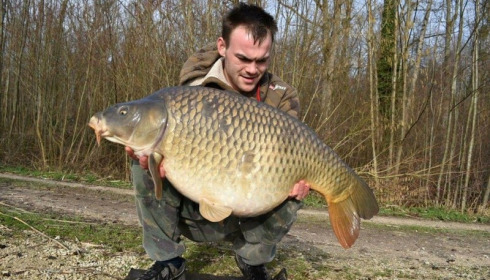 A carp from Brocard Large, Feb 2016