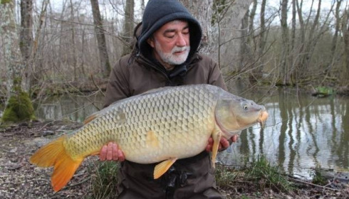 A carp from Brocard Large, Swim 10, Mar 2015
