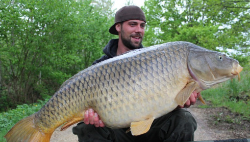 A 48 lb 4 oz carp from Brocard Large, Swim 11, May 2015