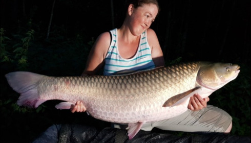 A 57 lb grass carp from Brocard Large, Aug 2019