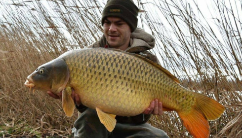 A carp from Brocard Large, Feb 2016