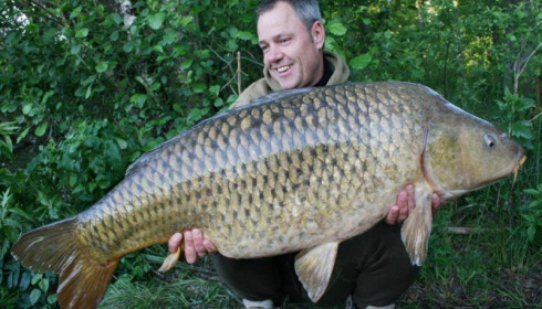 A carp from Brocard Large, Swim 9, May 2015