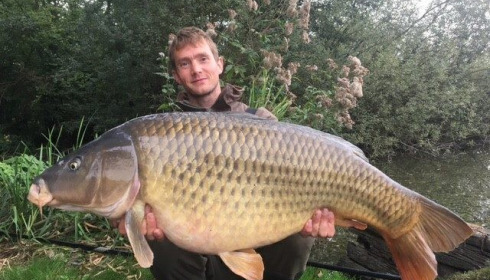 A carp from Brocard Large, Swim 10, Sep 2017