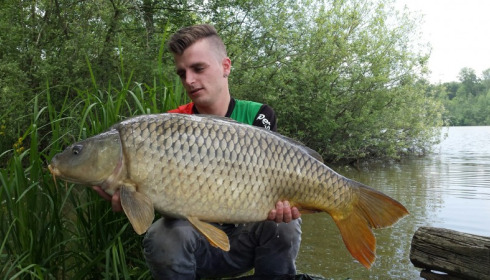 A carp from Brocard Large, Swim 10, Jun 2015