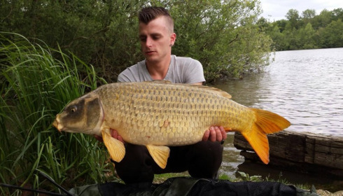 A carp from Brocard Large, Swim 10, Jun 2015