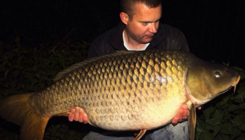 A 46 lb 2 oz carp from Brocard Large, Swim 5, Apr 2014