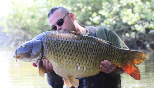 A 35 lb 12 oz carp from Brocard Large, Stewart Cliff, May 2018