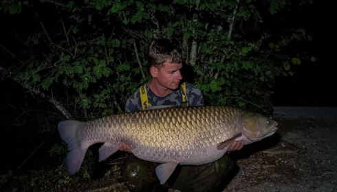 A grass carp from Brocard Large, Jul 2022