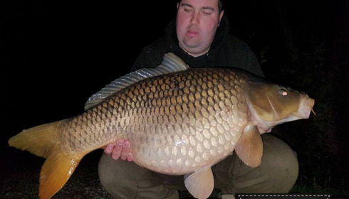 A carp from Brocard Large, May 2018