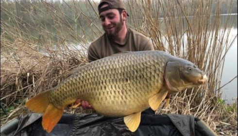A carp from Brocard Large, Apr 2019