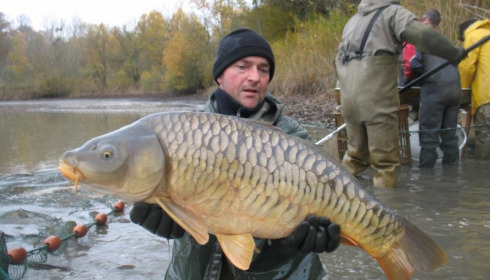 A carp from Brocard Large, Nov 2012