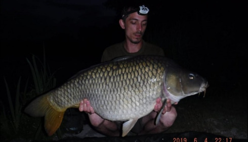A carp from Brocard Large, Jul 2019