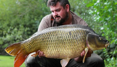 A carp from Brocard Large, Jul 2017