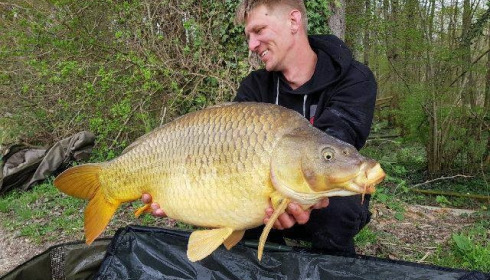 A carp from Brocard Large, Apr 2018