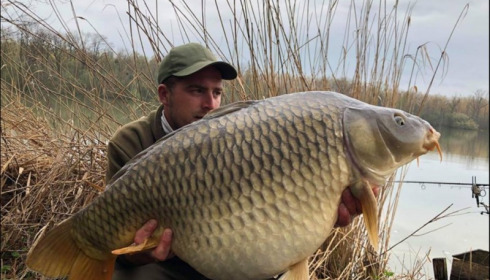 A carp from Brocard Large, Apr 2019