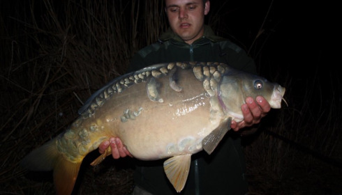 A carp from Brocard Large, Mar 2013