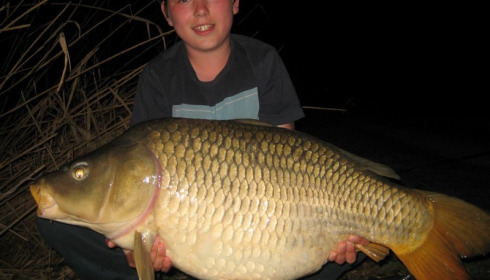 A carp from Brocard Large, Swim 11, Apr 2015