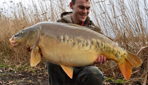 A carp from Brocard Large, Feb 2016