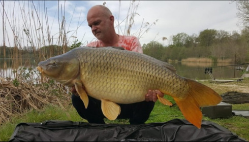 A carp from Brocard Large, Apr 2019