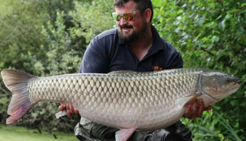 A carp from Brocard Large, Jul 2017