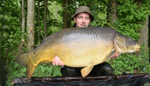 A carp from Brocard Large, May 2018