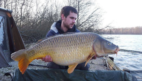 A carp from Brocard Large, Swim 9, Mar 2016