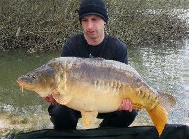 A carp from Brocard Large, Swim 9, Apr 2014