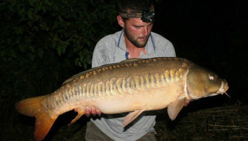 A carp from Brocard Large, Jun 2017