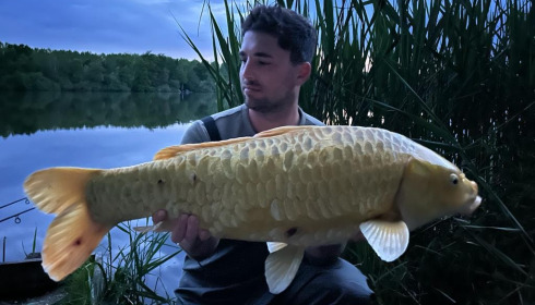 A carp from Brocard Large, May 2022