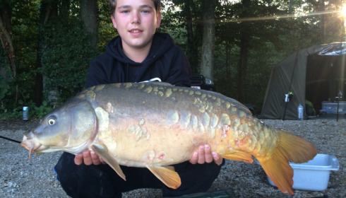 A carp from Brocard Large, Swim 8, Aug 2015