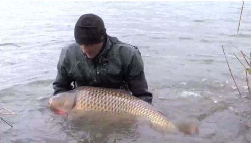 A carp from Brocard Large, January Stocking, Jan 2014