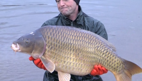 A carp from Brocard Large, January Stocking, Jan 2014