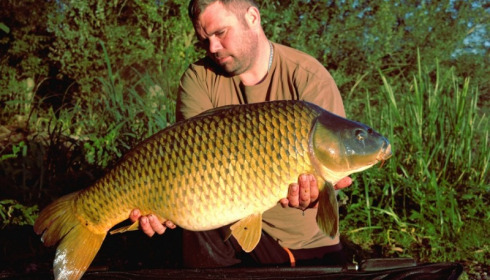 A 29 lb 4 oz carp from Brocard Large, Stewart Cliff, Sep 2016