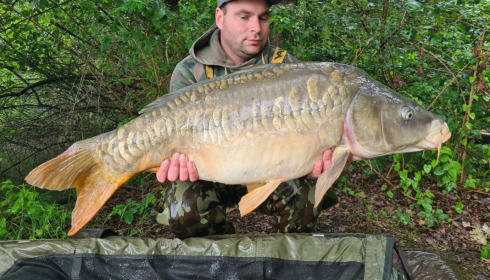A carp from Brocard Large, Jun 2022