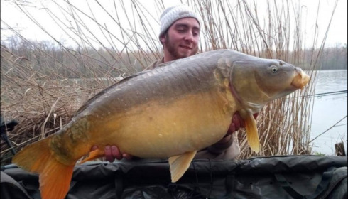 A carp from Brocard Large, Apr 2019