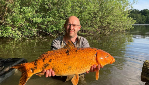 A fish from Brocard Large, May 2022