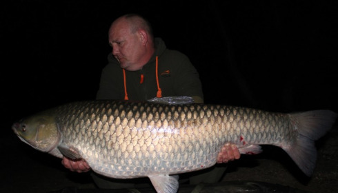 A 51 lb 4 oz grass carp from Brocard Large, David Hammond, Apr 2016