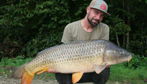 A carp from Brocard Large, Swim 5, Oct 2017