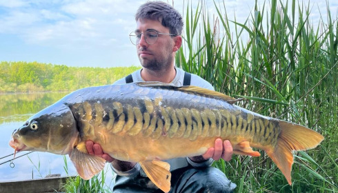 A carp from Brocard Large, May 2022