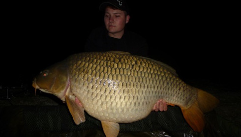 A carp from Brocard Large, Swim 8, Apr 2015