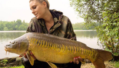 A carp from Brocard Large, Swim 9, Jun 2015