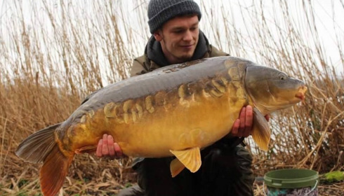 A carp from Brocard Large, Mar 2016