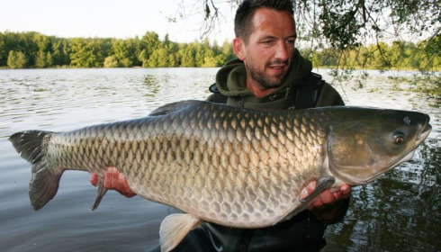 A grass carp from Brocard Large, Swim 9, May 2015