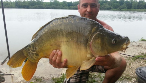 A carp from Brocard Large, Swim 6, Aug 2014