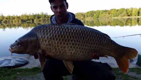 A carp from Brocard Large, Oct 2014