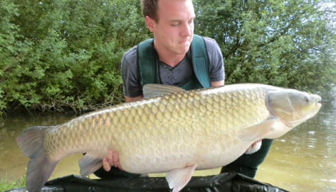 A 47 lb 7 oz grass carp from Brocard Large, Swim 9 , Jun 2014